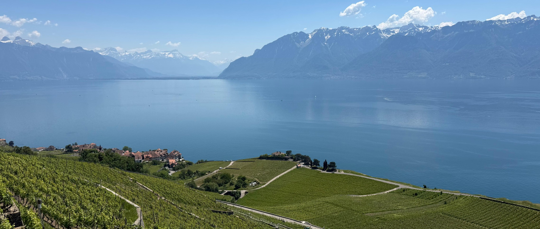 Lavaux